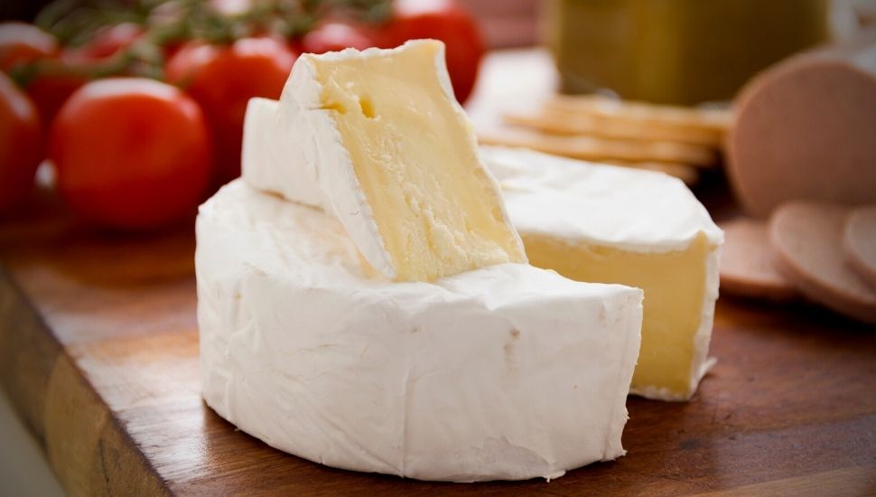 Can You Freeze Camembert Cheese Cover