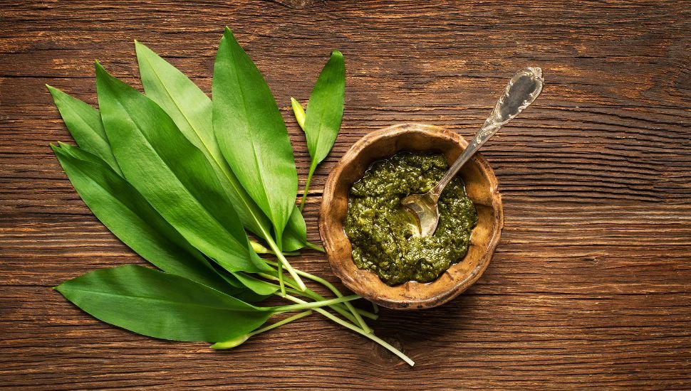 Wild Garlic Leaves and Chutney