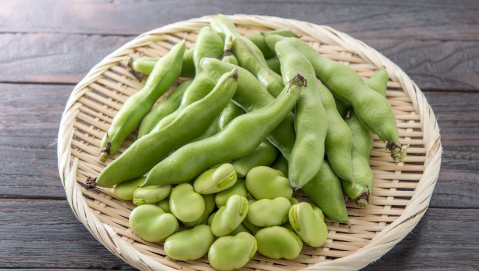 image of some Broad Beans in basket