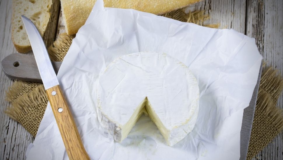 sliced Camembert Cheese on plate