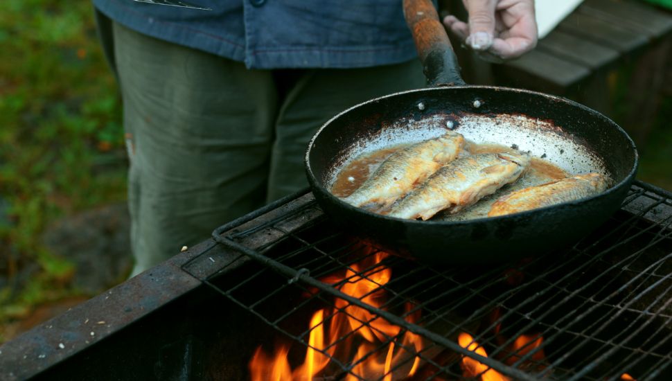 cooking fish in pan