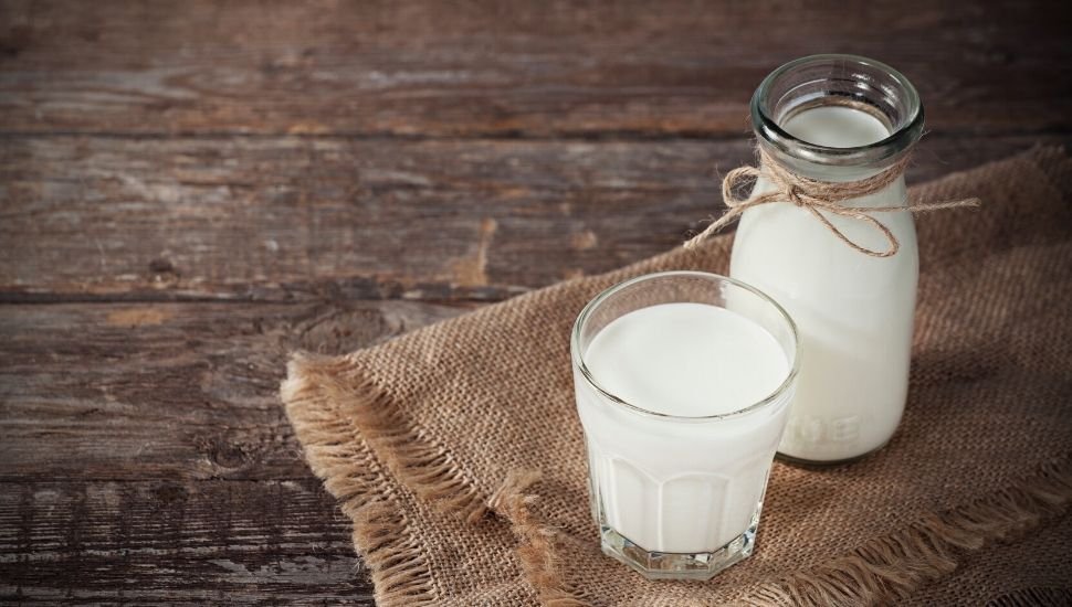 image of milk in a bottle and glass