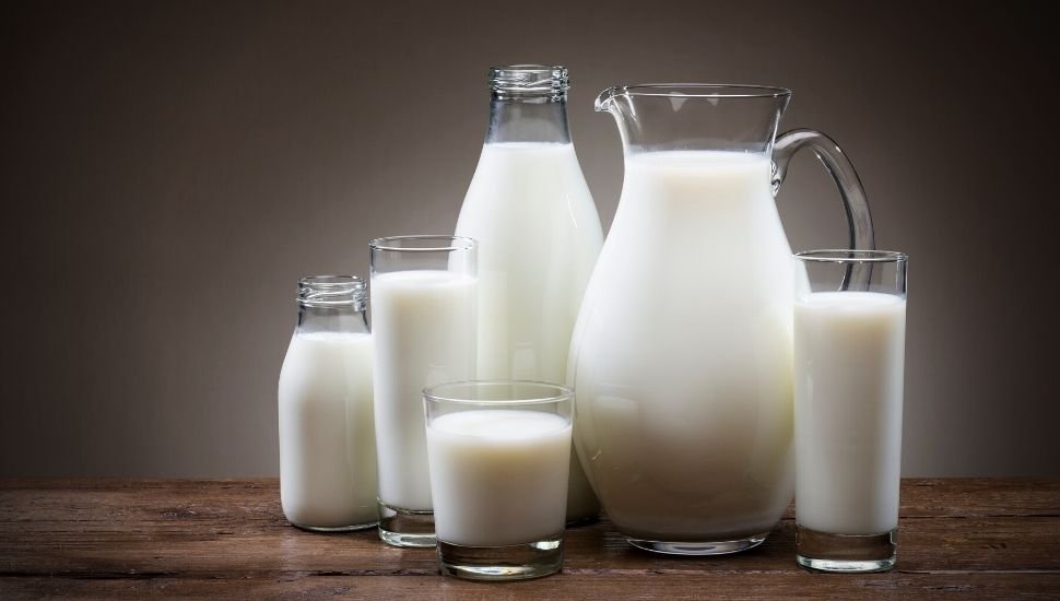 image of milk in different kinds of glassware