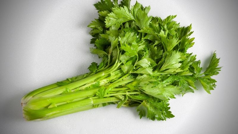 Image of fresh celery