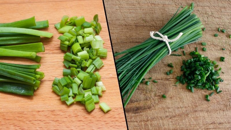 Green Onions vs Chives Health Benefits