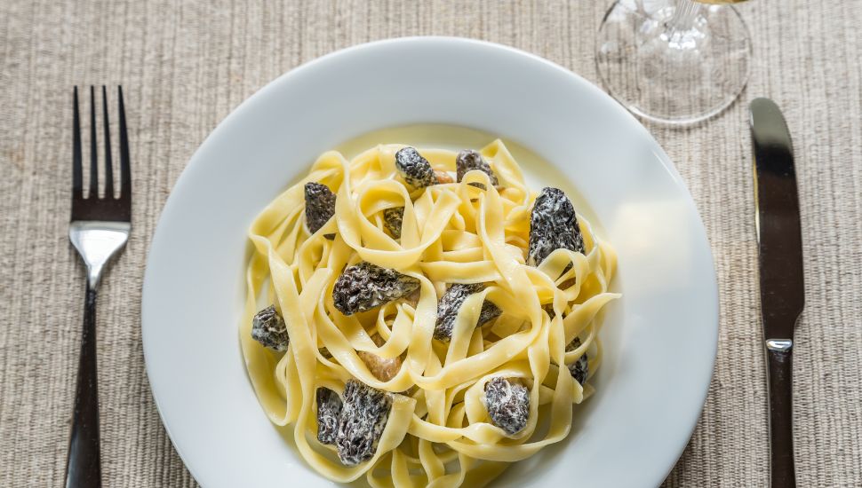 5 Morel Mushroom Pasta Recipes Cover image