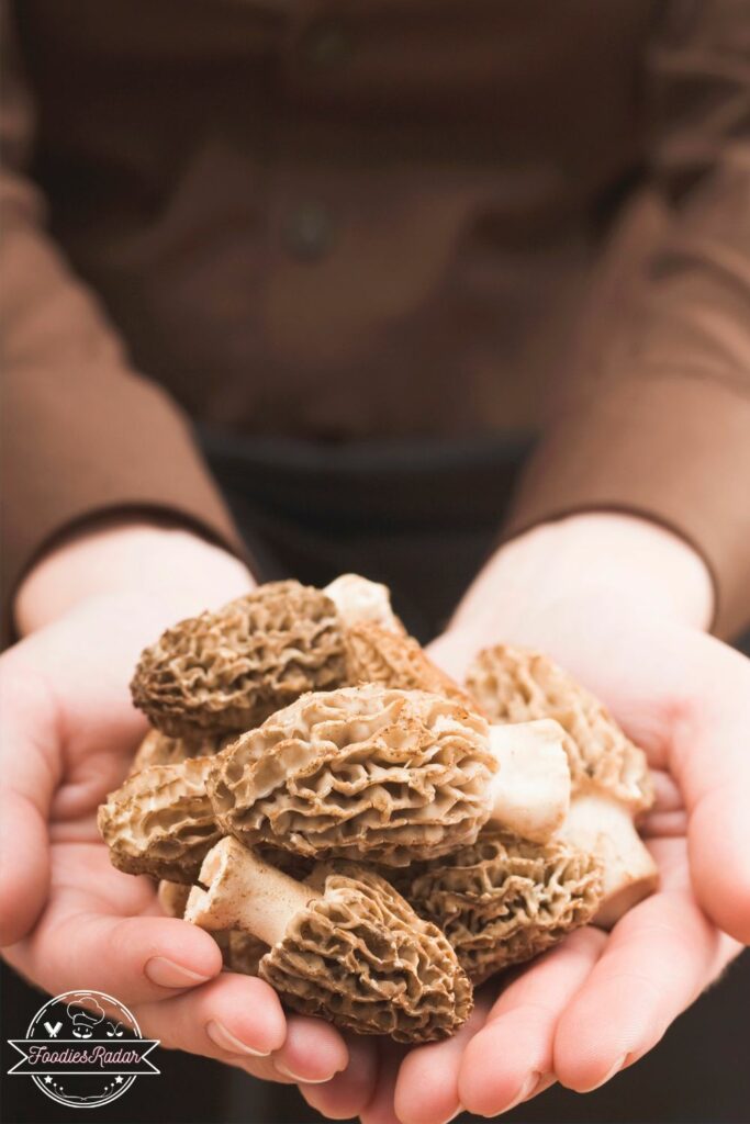 a person holding morel mushrooms in hands