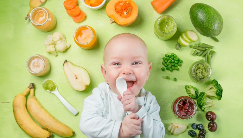 Baby Food Recipes for 6 9 Month Old