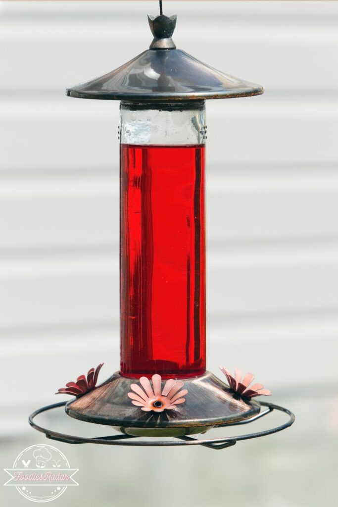 image of Hummingbird feeder